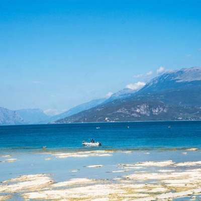 金沙集团186cc成色购买渠道