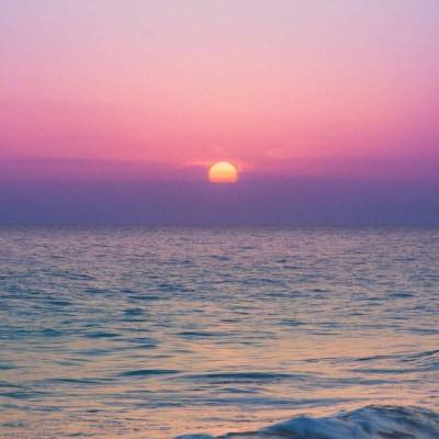 6566体育手机app下载