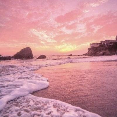 BOB·体育手机APP