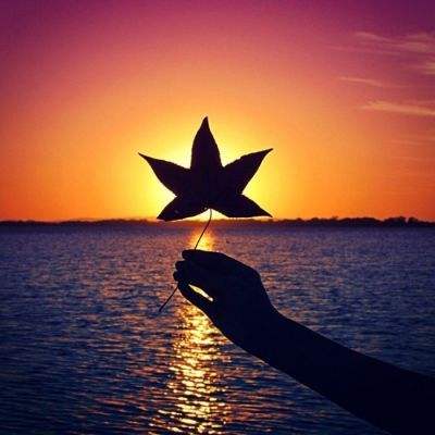 新澳门游戏网站入口手机app下载