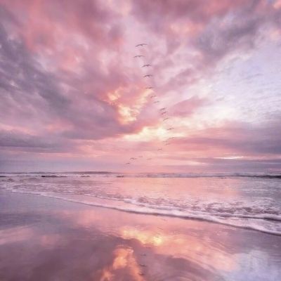 诺亚体育app下载安装手机版最新