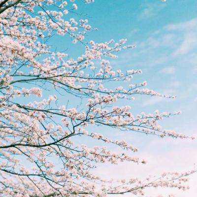 风云体育app下载官网最新版截图