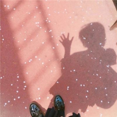 BSportAPP在线登录截图